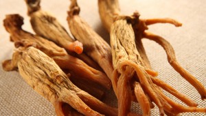 Red Korean Ginseng