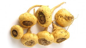 Maca (Lepidium meyenii)