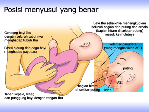 Tips menyusui yang benar